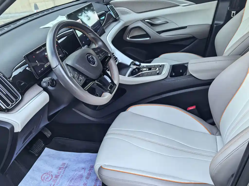 BYD Pro New Energy — миниатюра 11