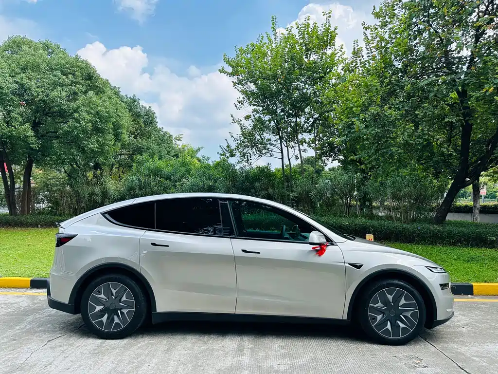 Tesla Model Y L — миниатюра 4