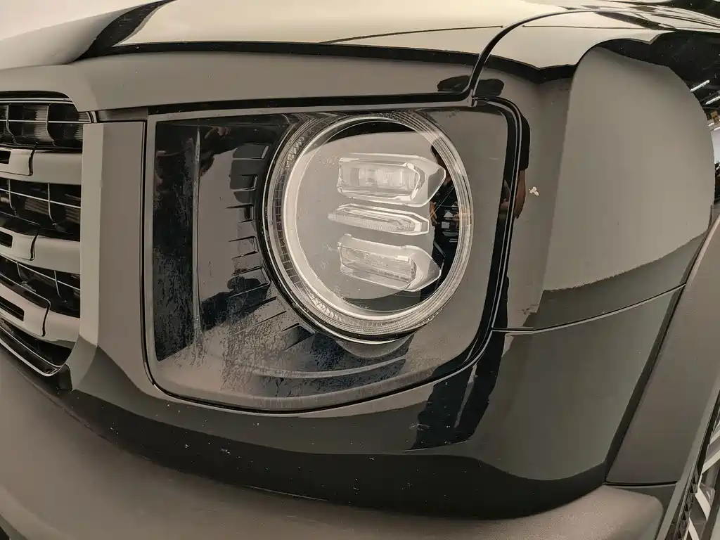 Haval Big Dog — миниатюра 18
