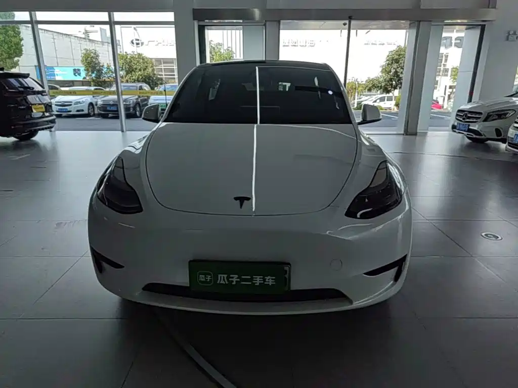 Tesla Model Y — миниатюра 3
