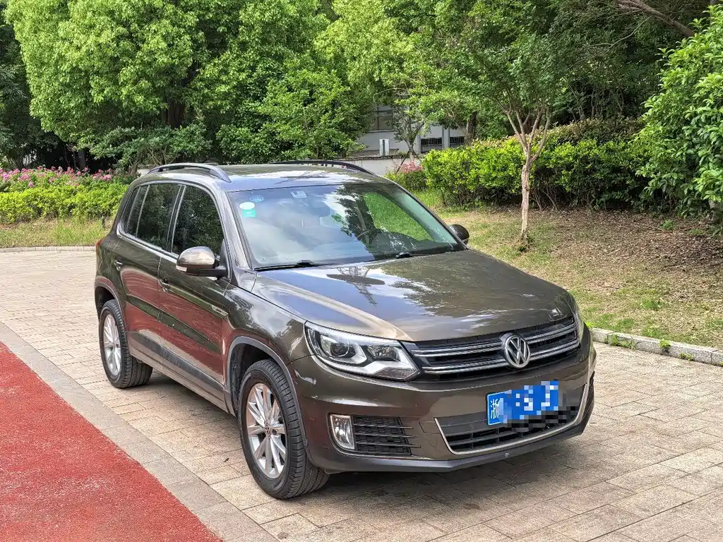 Volkswagen Tiguan 300TSI Auto 4WD Elegant Vision Edition, фото 3