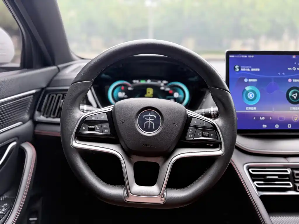 BYD PLUS — миниатюра 5