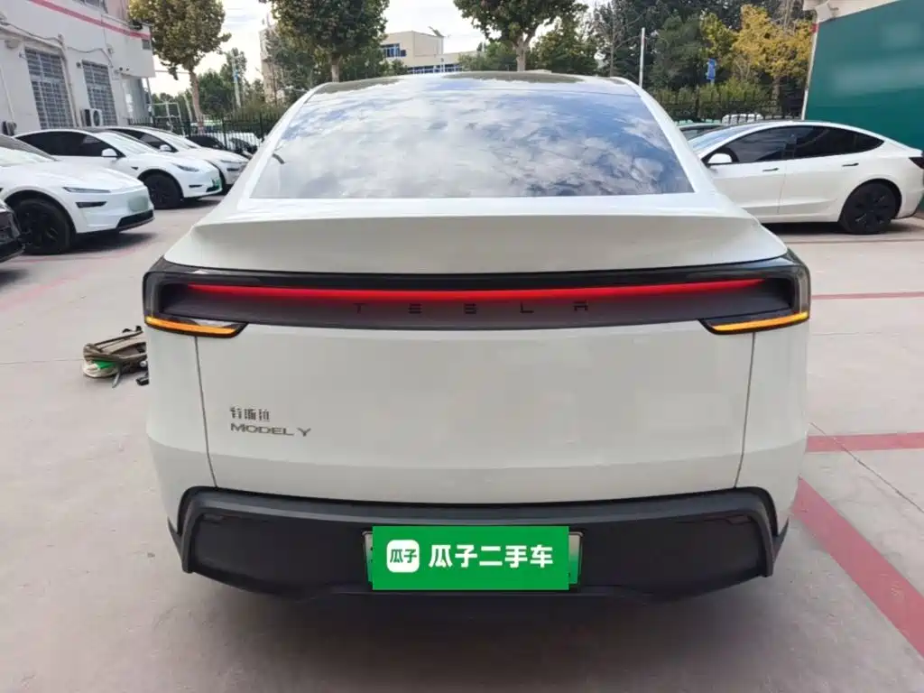 Tesla Model Y — миниатюра 6