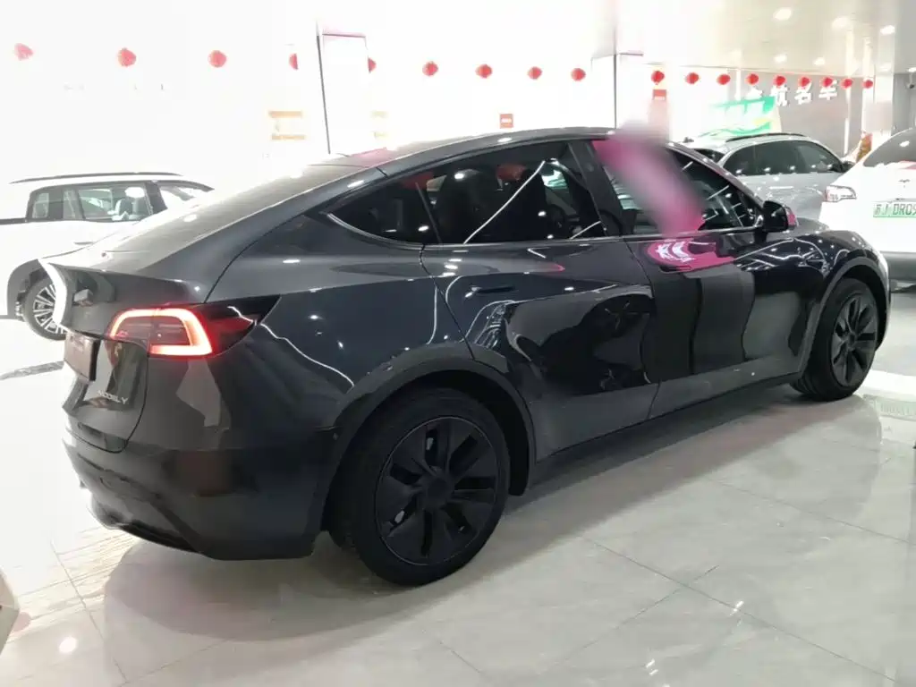 Tesla Model Y — миниатюра 7