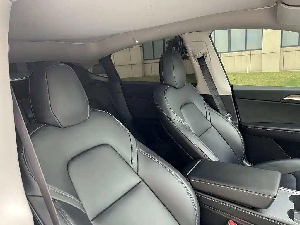 Tesla Model Y — миниатюра 8