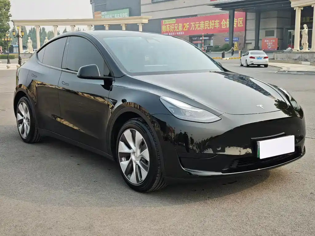 Tesla Model Y — миниатюра 3