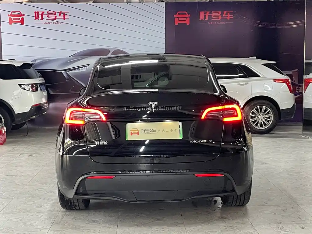 Tesla Model Y — миниатюра 4