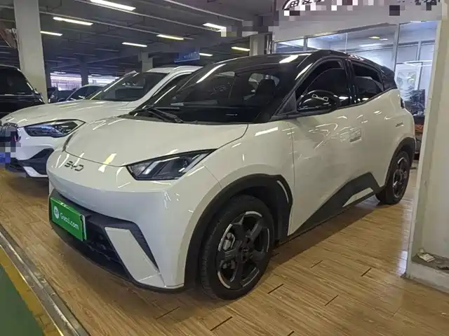 BYD Seagull