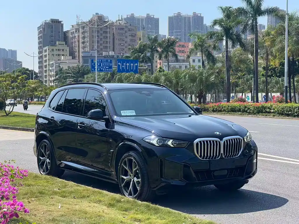 BMW X5 — миниатюра 2