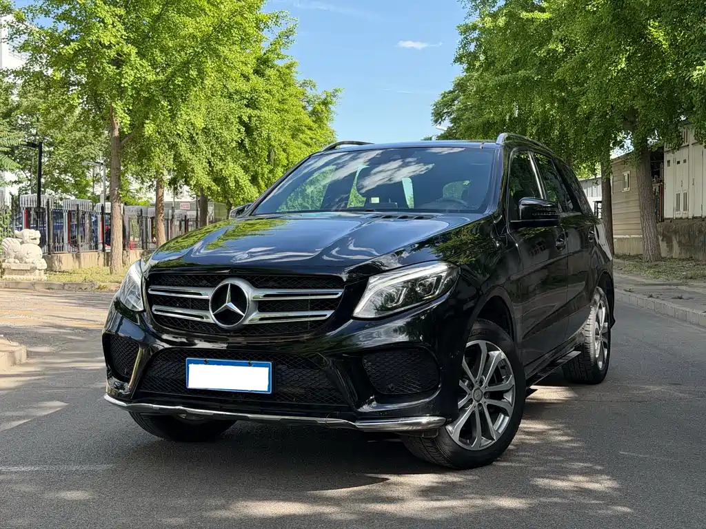 Mercedes-Benz 奔驰GLE(进口) 2016