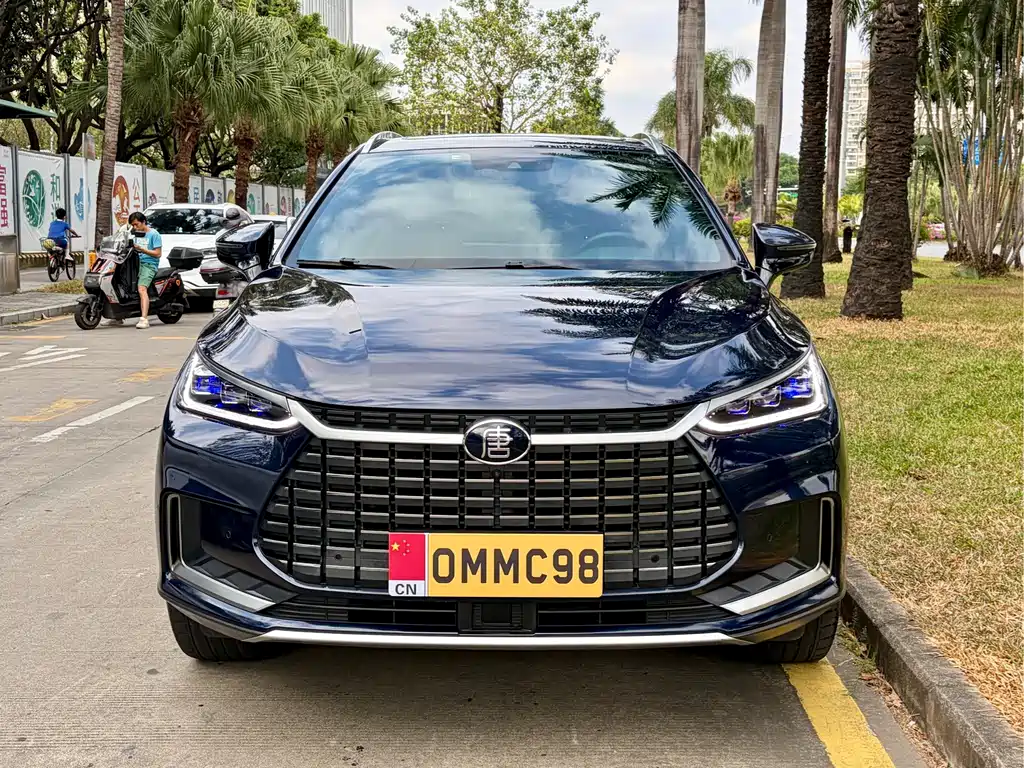 BYD Tang New Energy — миниатюра 2