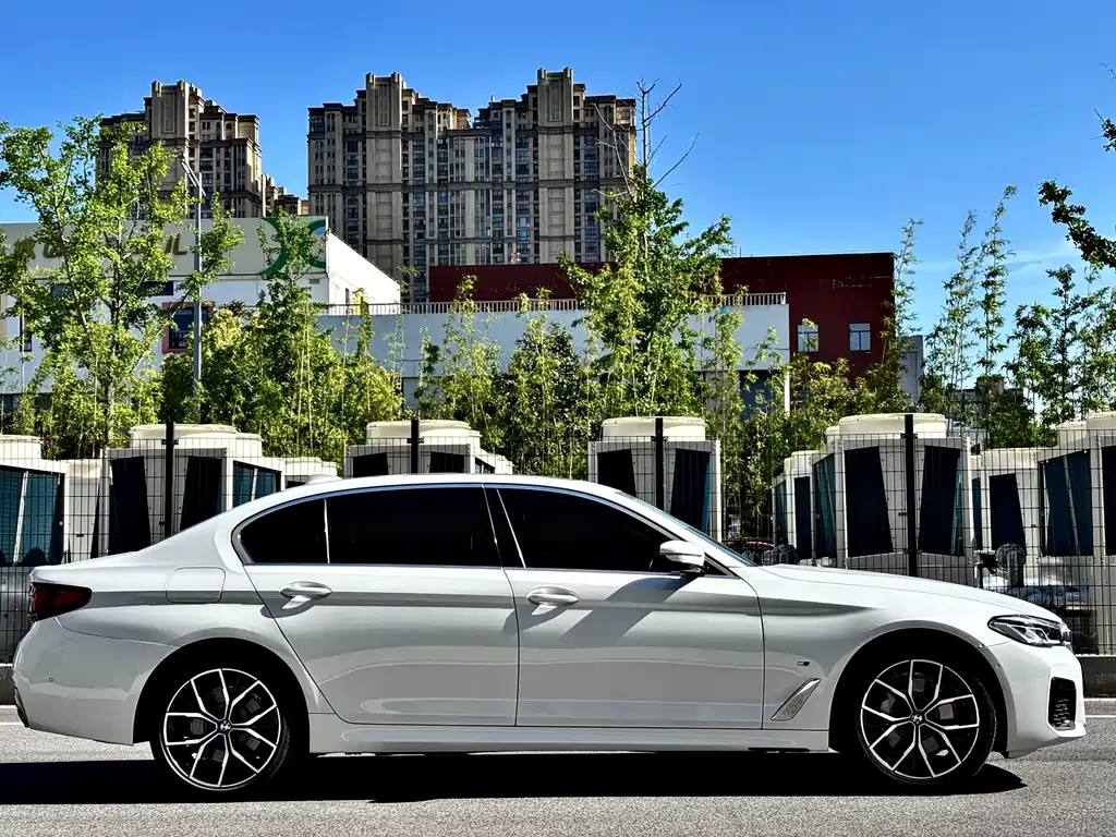 BMW 5 Series 5 2021 530Li Premium M Sport