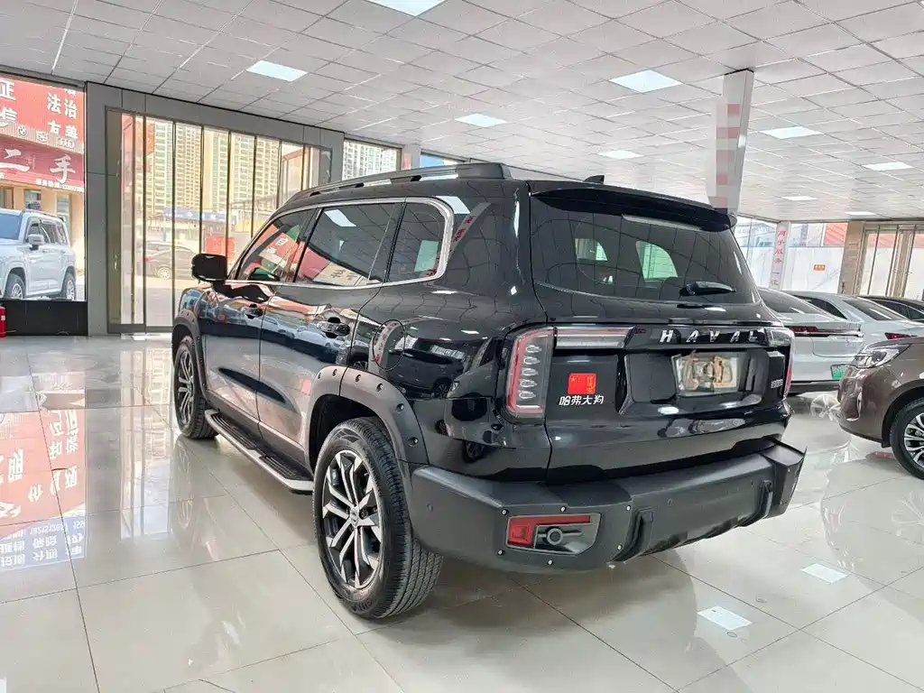 HAVAL BIG DOG