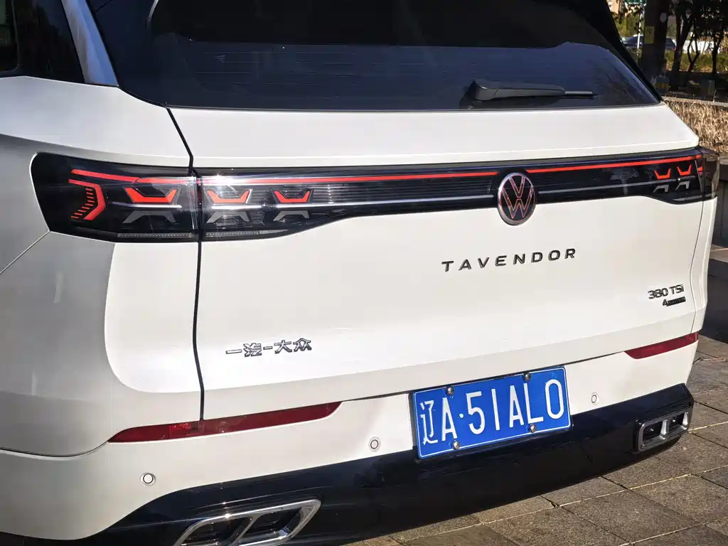 Volkswagen Tavendor — миниатюра 16