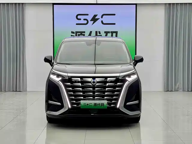 2023 Denza D9
