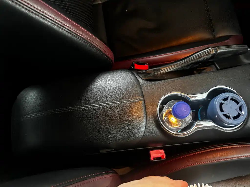 Ford Mustang — миниатюра 12