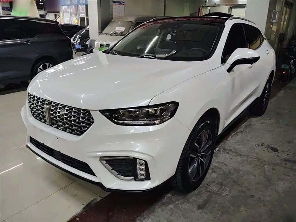 Wey Wey VV5 2021