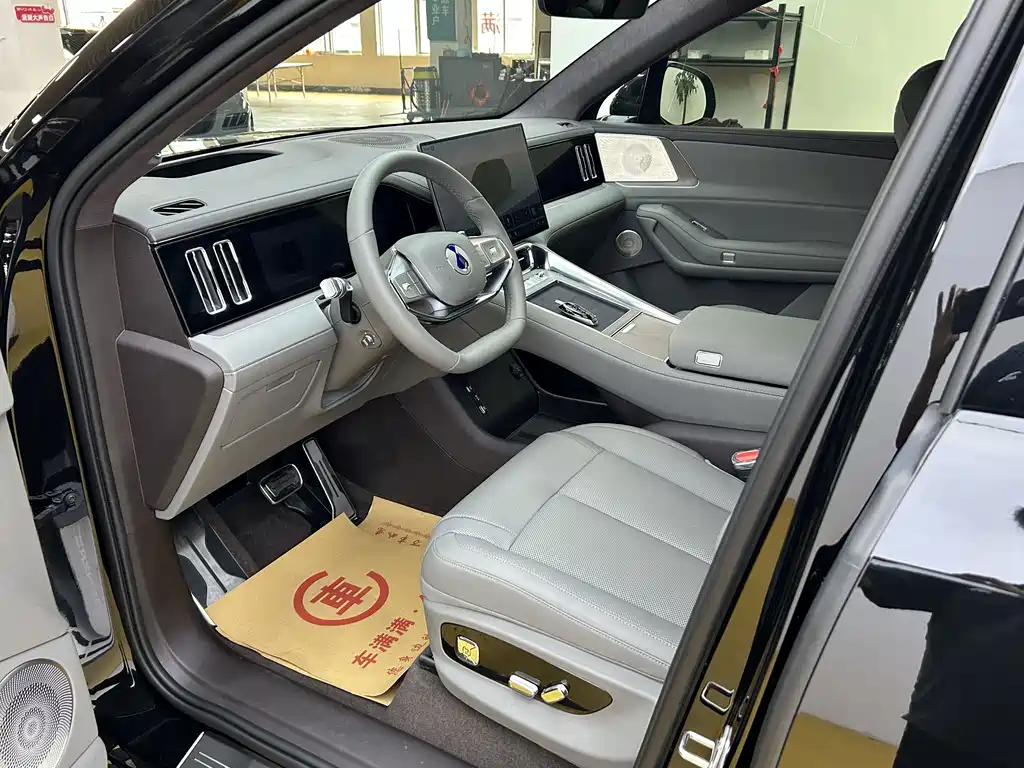 Denza Denza N8L — миниатюра 3