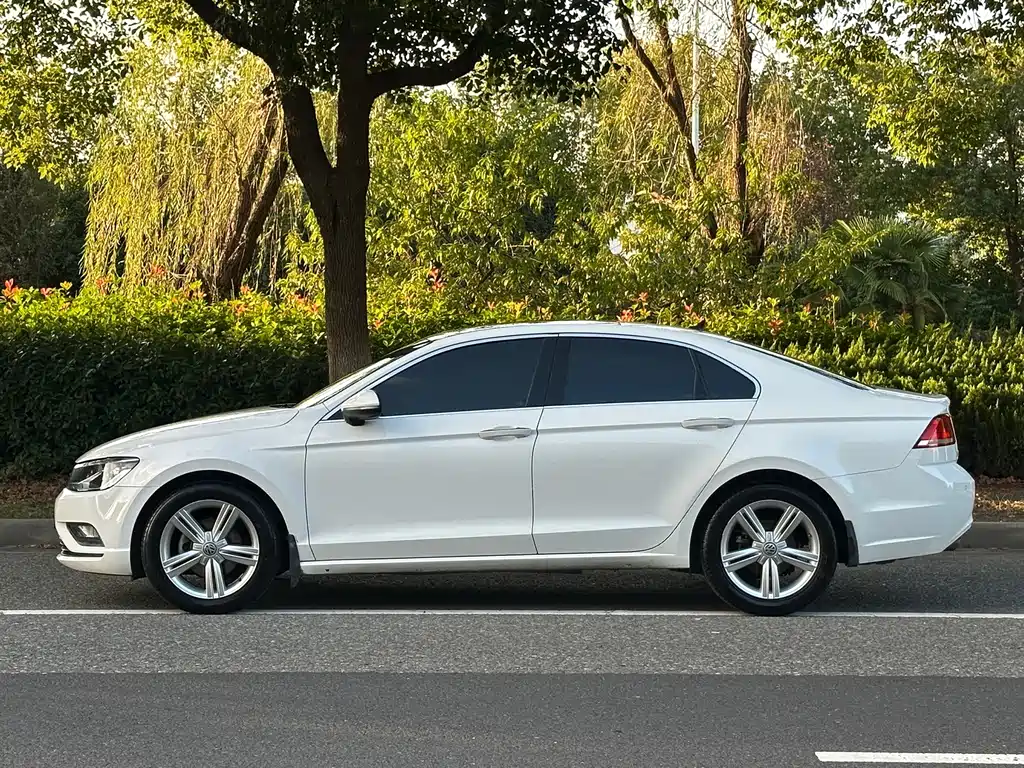 Volkswagen Lamando — миниатюра 4