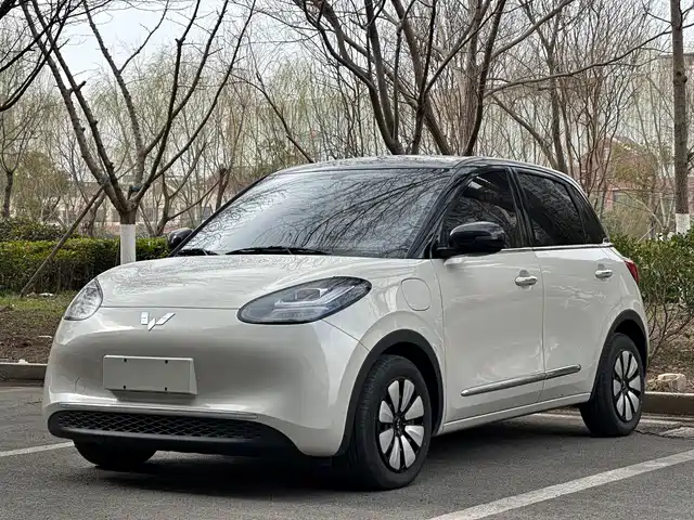 WULING WULING BINGGUO 2024