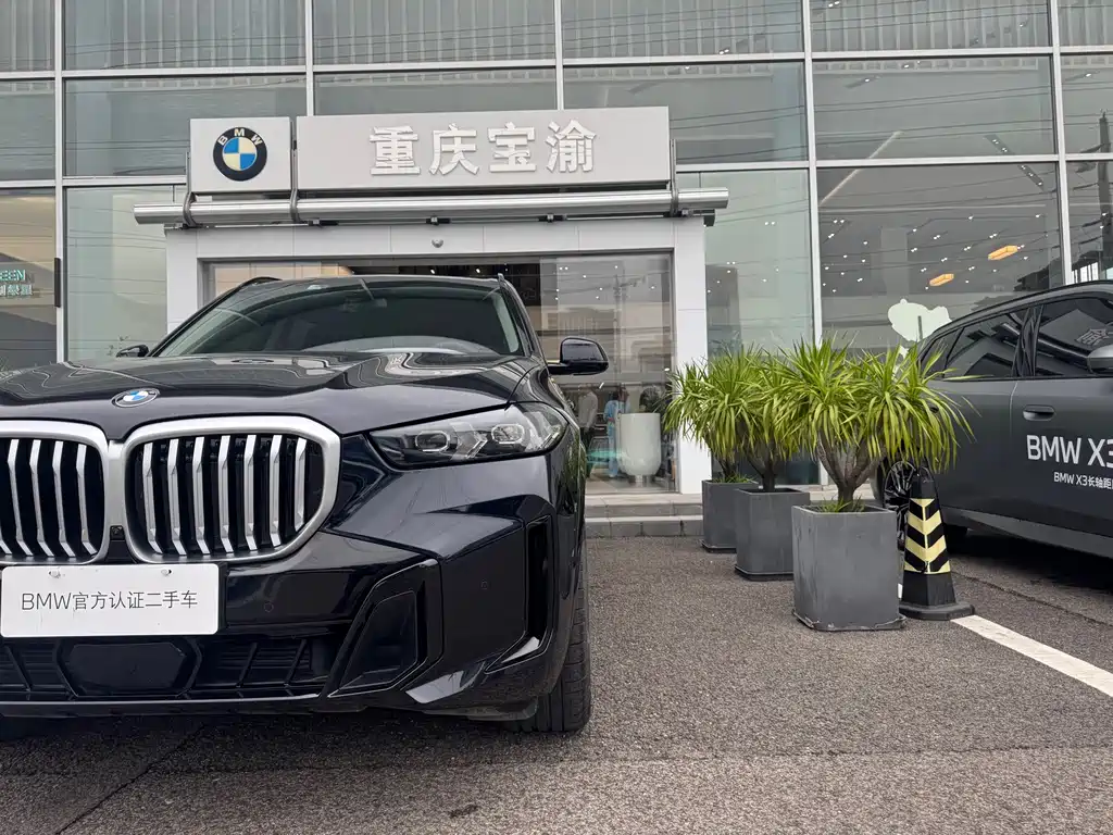 BMW X5 — миниатюра 3