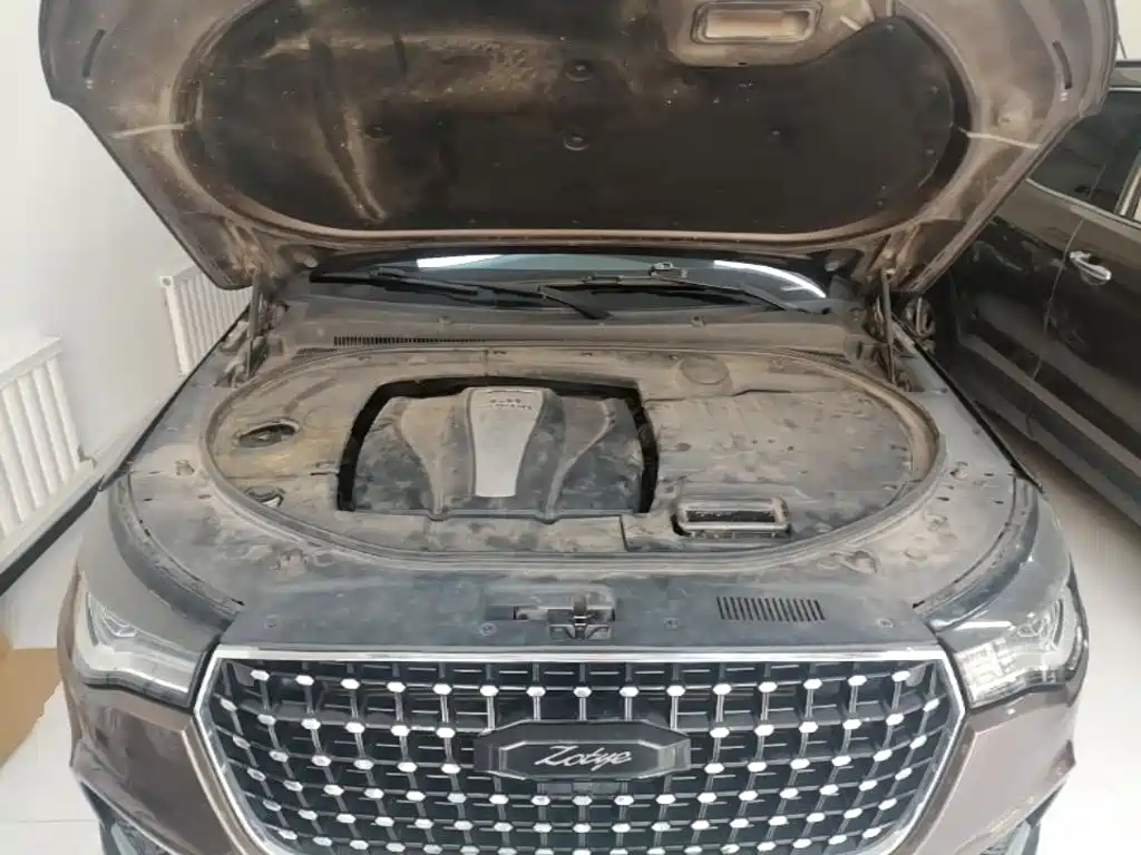 Zotye Zotye T700 — миниатюра 20