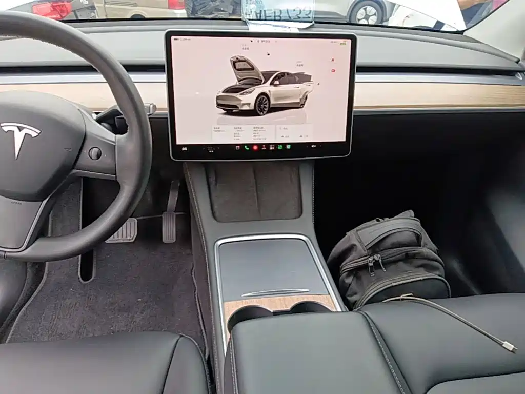 Tesla Model Y — миниатюра 13