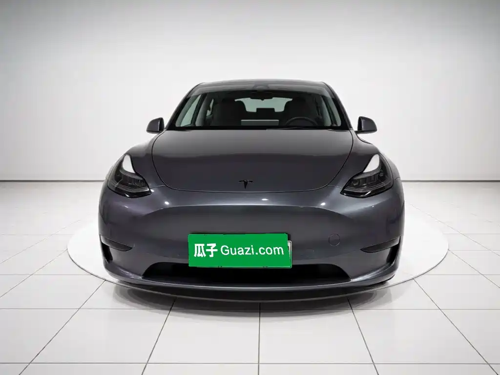 Tesla Model Y — миниатюра 24