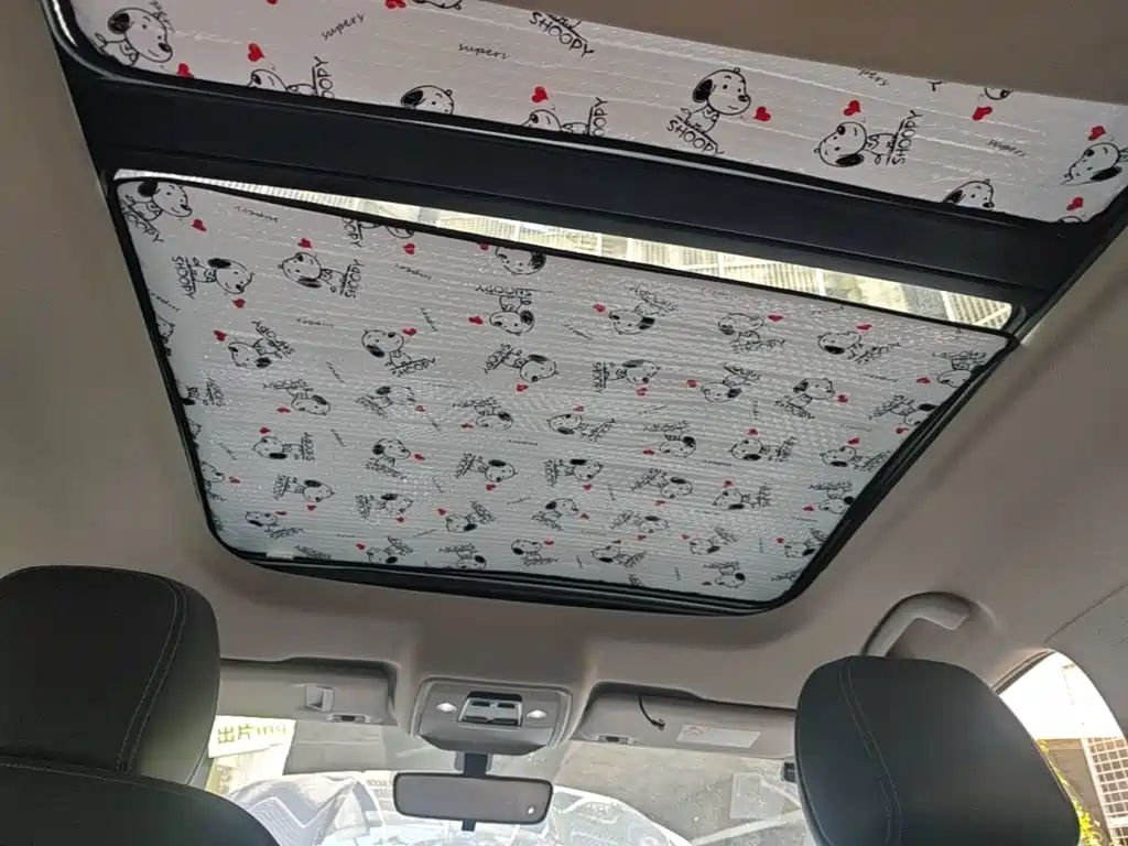 BYD Pro — миниатюра 18