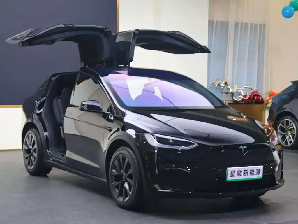 Tesla Model X — миниатюра 2