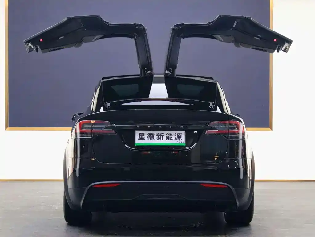 Tesla Model X — миниатюра 22