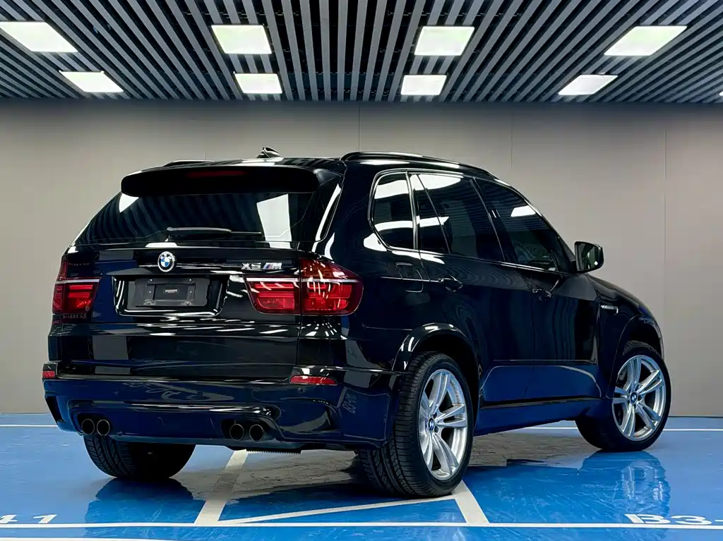 BMW X5 M 2010 X5 M