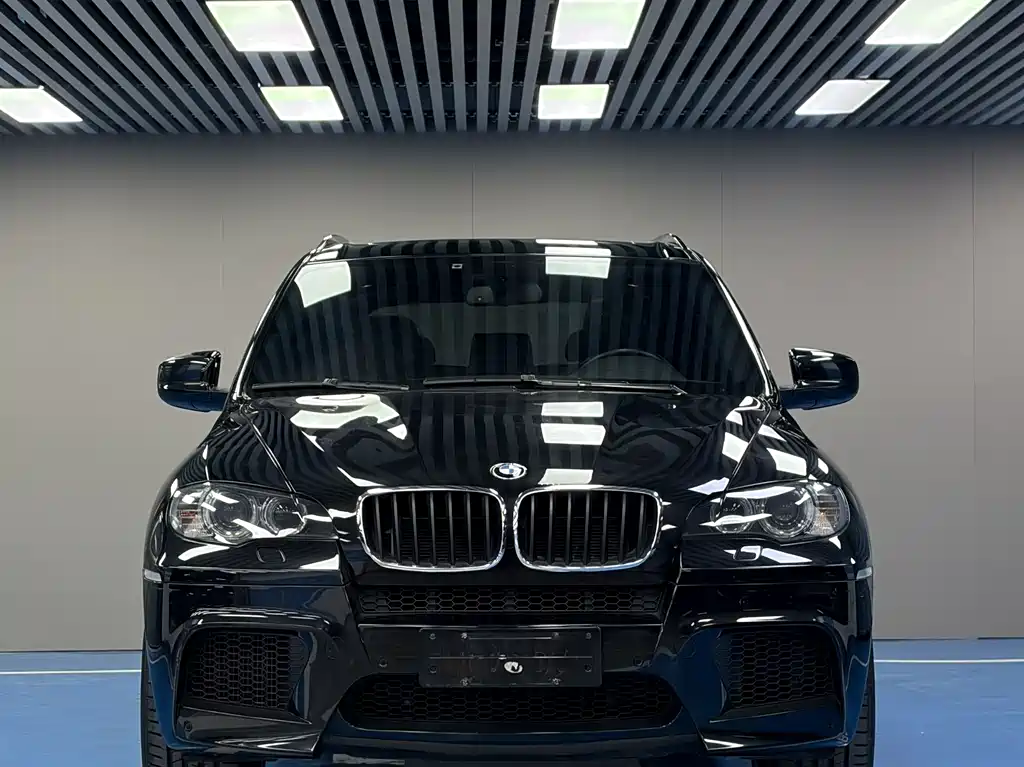 BMW X5 M 2010 X5 M