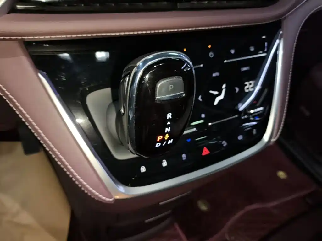 Buick GL8 — миниатюра 14