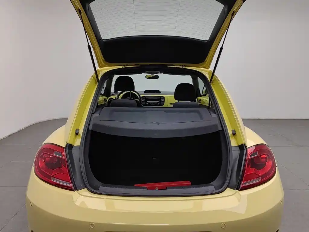 Volkswagen Beetle — миниатюра 16