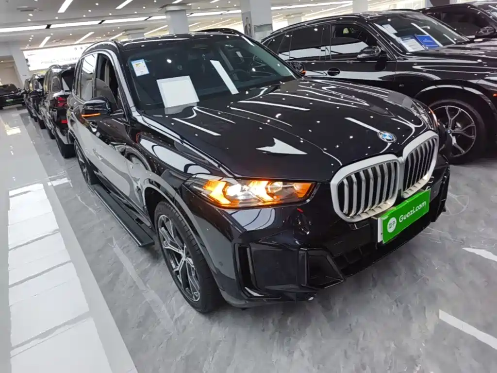 BMW X5 — миниатюра 4