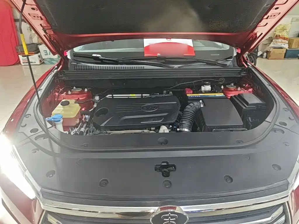 BYD Pro — миниатюра 20