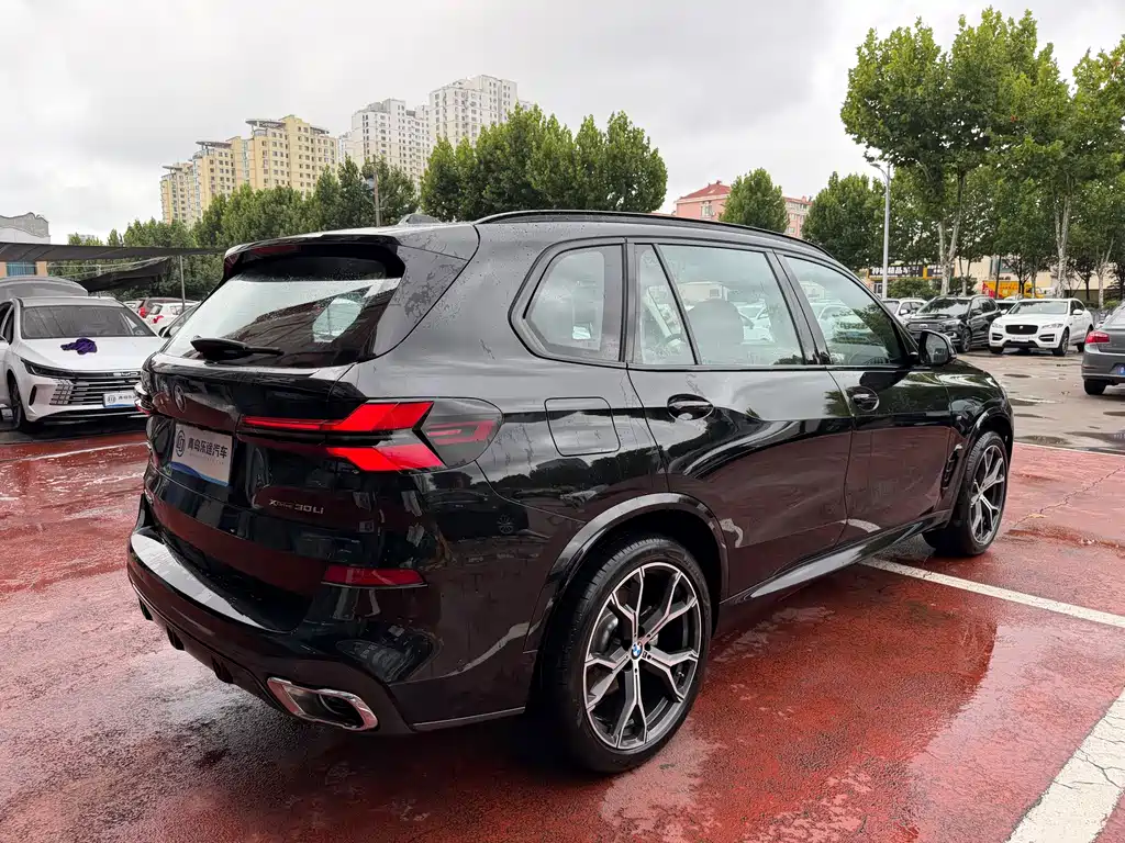 BMW X5 — миниатюра 6