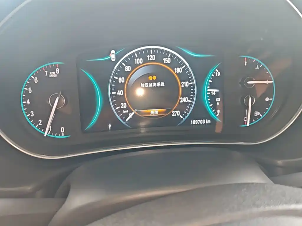 Buick Regal — миниатюра 12