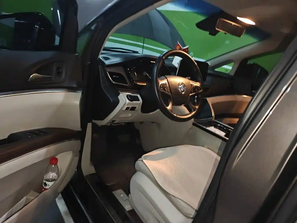 Buick GL8 — миниатюра 17