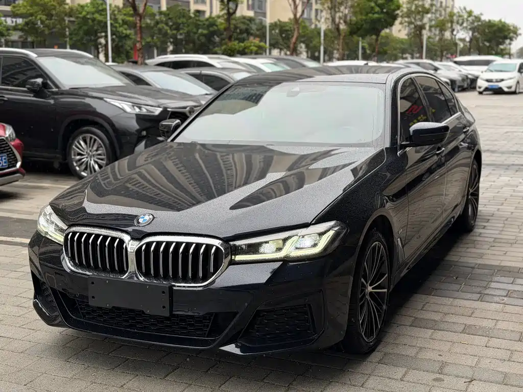 BMW 5 SERIES