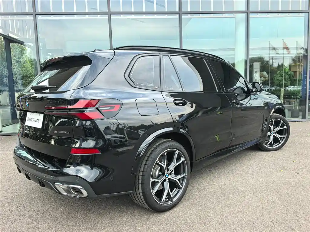BMW X5 — миниатюра 4