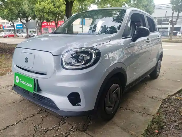 2023 Leapmotor T03
