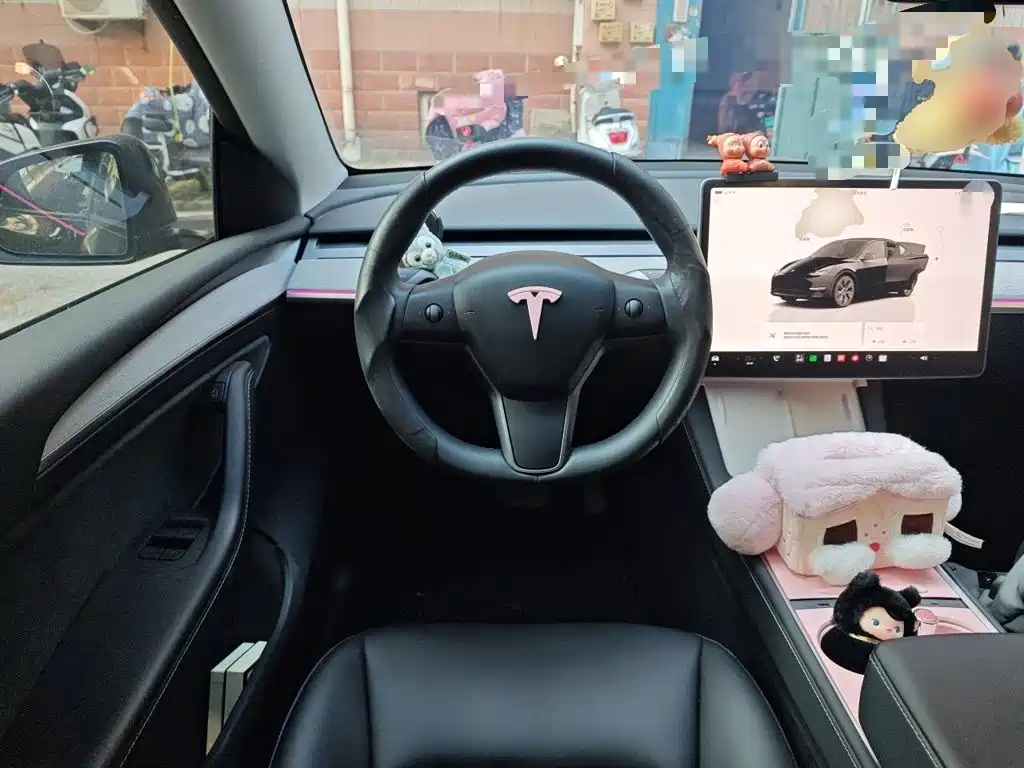Tesla Model Y — миниатюра 6