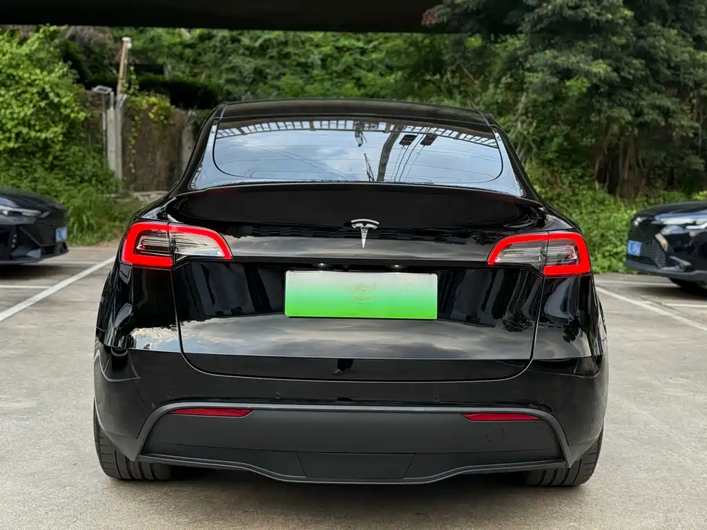 Tesla Model Y — миниатюра 5