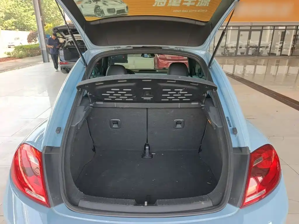 Volkswagen Beetle — миниатюра 19
