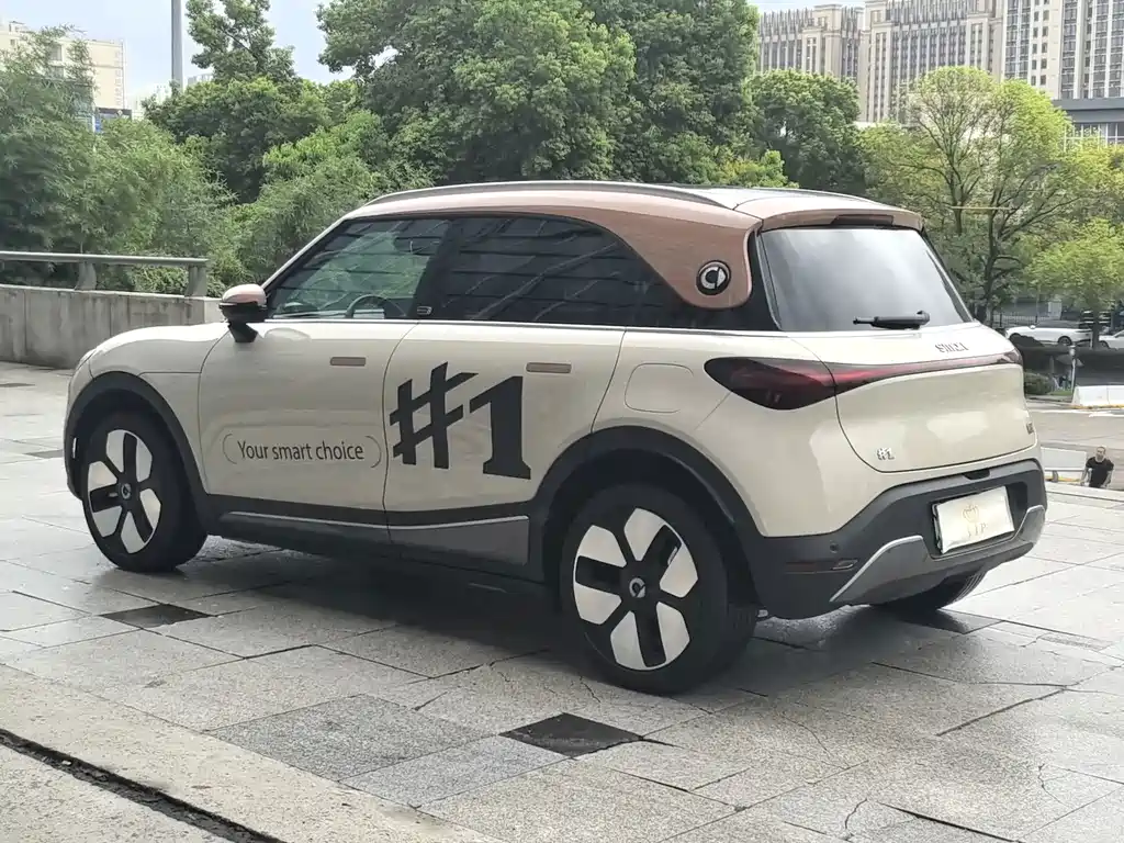 smart Smart #1 — миниатюра 12