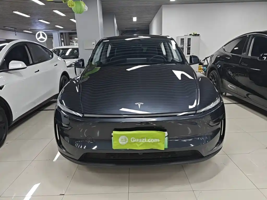 Tesla Model Y — миниатюра 3