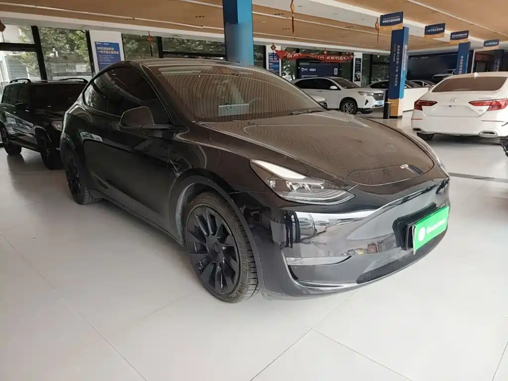Tesla Model Y — миниатюра 4