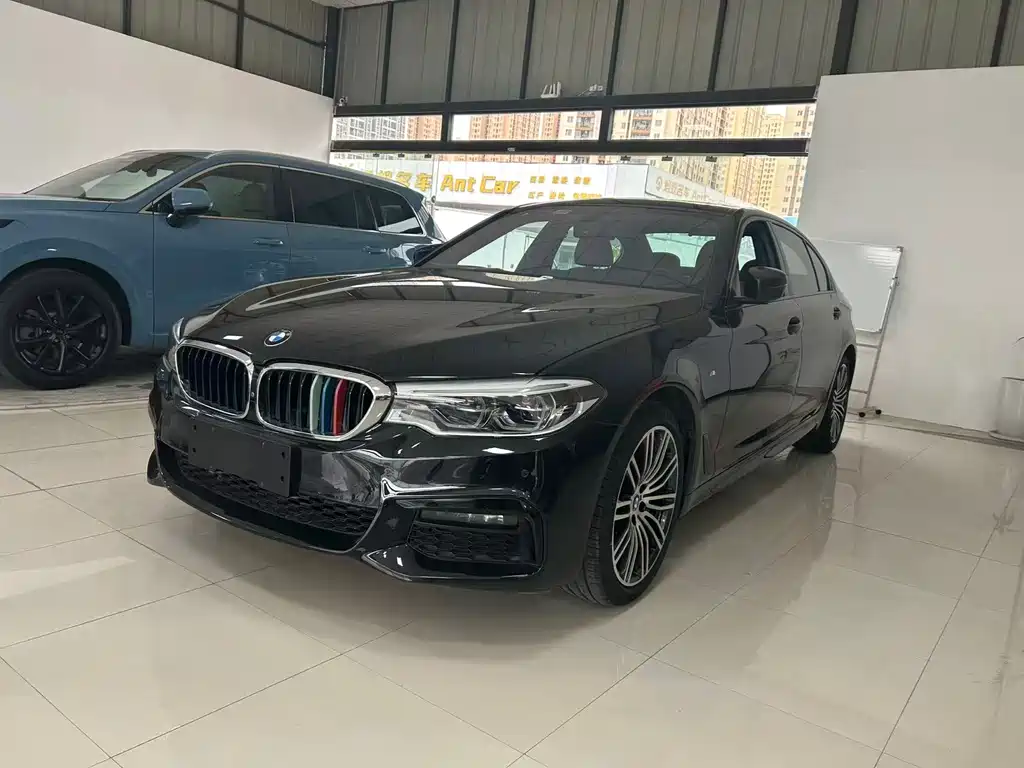 BMW 5 Series 2019